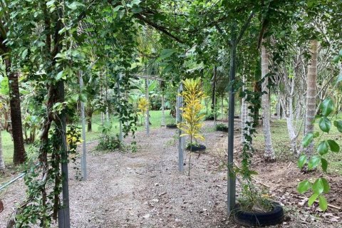 Коммерческая недвижимость в Кхок Клое, Таиланд  № 124922 - фото 14