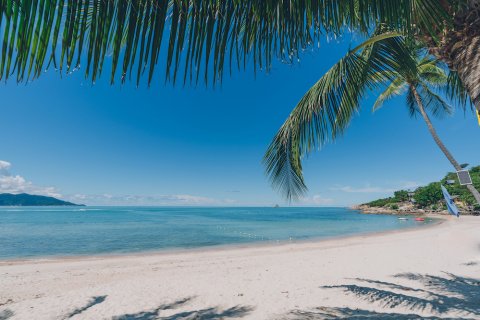 Villa à Ko Samui, Thaïlande 3 chambres № 123386 - photo 22