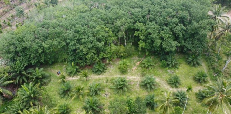 Land in Khok Kloi, Thailand № 124955