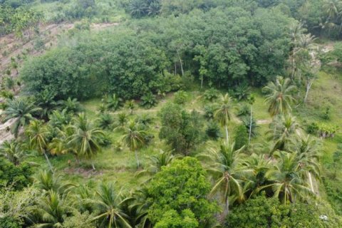 Land in Khok Kloi, Thailand № 124955 - photo 3