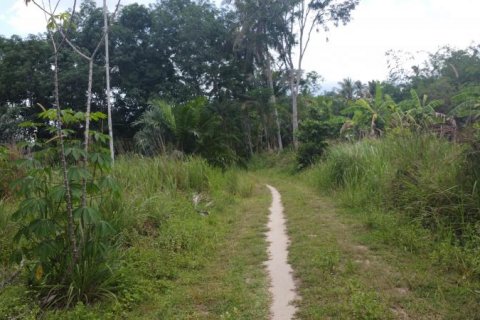 Land in Khok Kloi, Thailand № 124955 - photo 2