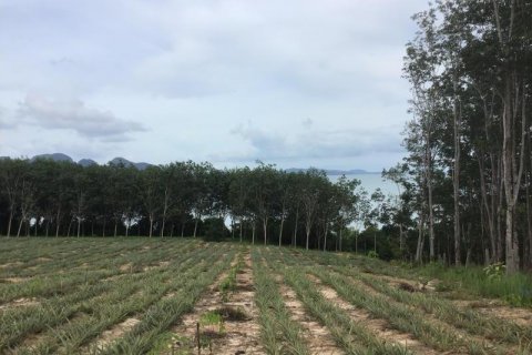 Земельный участок в Кхок Клое, Таиланд  № 124992 - фото 7