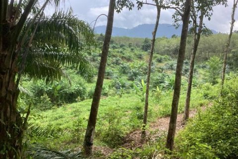 Земельный участок в Кхок Клое, Таиланд  № 124957 - фото 9