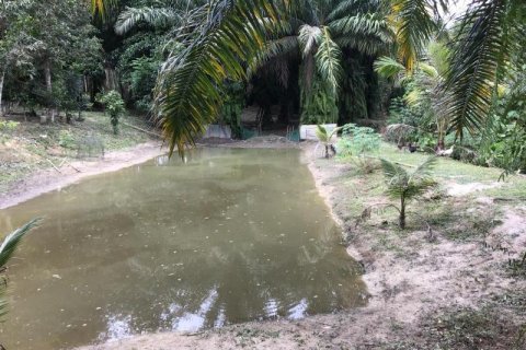 Дом в Кхок Клое, Таиланд с 2 спальнями  № 124952 - фото 7