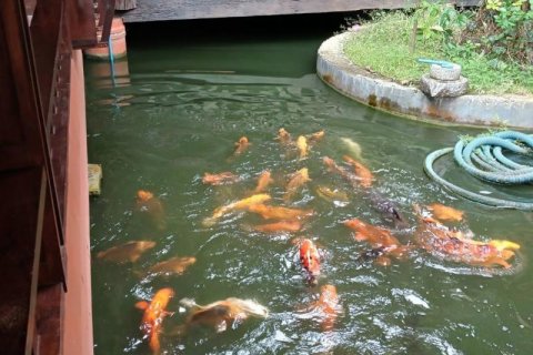 House in Khok Kloi, Thailand 4 bedrooms № 124953 - photo 3