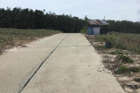 Земельный участок в Кхок Клое, Таиланд  № 124992 - фото 8