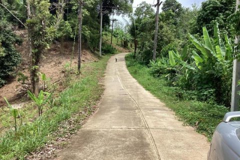 Земельный участок в Кхок Клое, Таиланд  № 124961 - фото 1