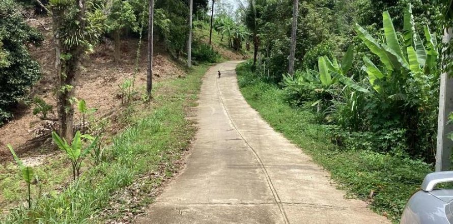 Земельный участок в Кхок Клое, Таиланд  № 124961