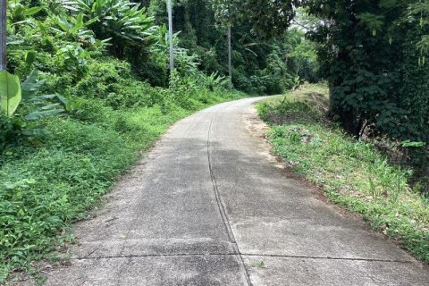 Земельный участок в Кхок Клое, Таиланд  № 124961 - фото 2