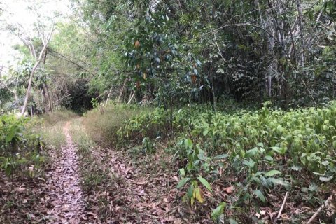 Земельный участок в Кхок Клое, Таиланд  № 124976 - фото 4