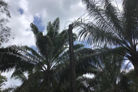 Земельный участок в Кхок Клое, Таиланд  № 124976 - фото 2