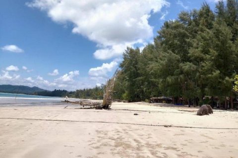 Land in Khok Kloi, Thailand № 125032 - photo 4