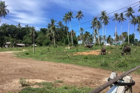 Land in Khok Kloi, Thailand № 124984 - photo 6