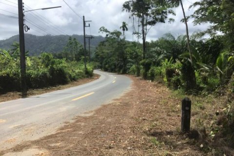 Terrain à Khok Kloi, Thaïlande № 124985 - photo 1
