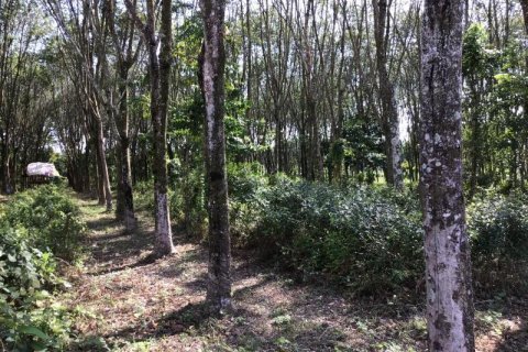 Terrain à Khok Kloi, Thaïlande № 124968 - photo 4