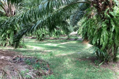 Земельный участок в Кхок Клое, Таиланд  № 124977 - фото 8