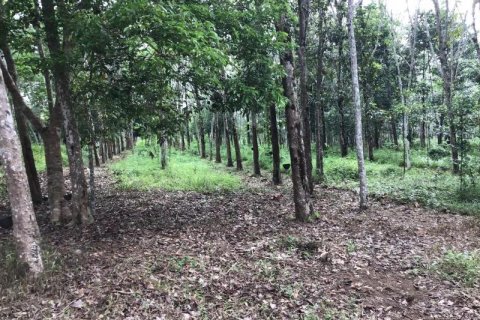 Terrain à Khok Kloi, Thaïlande № 124967 - photo 5