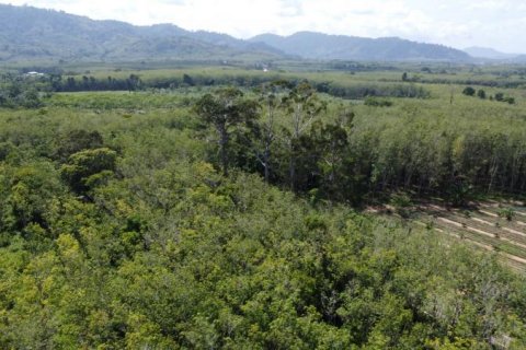 Terrain à Khok Kloi, Thaïlande № 124967 - photo 2