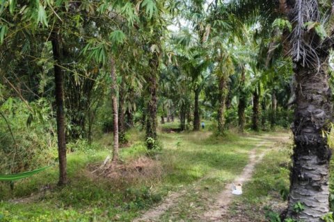 Земельный участок в Кхок Клое, Таиланд  № 124964 - фото 2