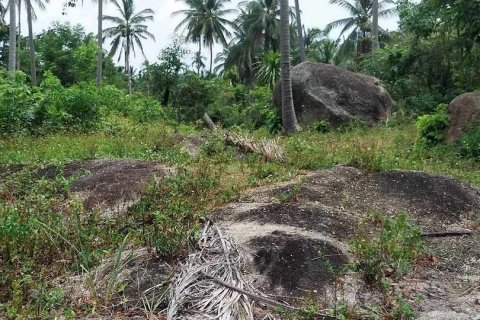 Земельный участок в Самуи, Таиланд 1м2  № 133112 - фото 5