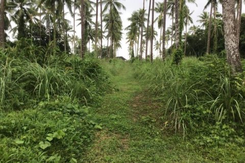 Земельный участок в Кхок Клое, Таиланд  № 124986 - фото 7