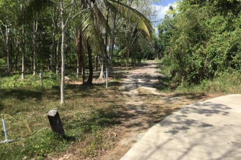 Land in Khok Kloi, Thailand № 124960 - photo 5