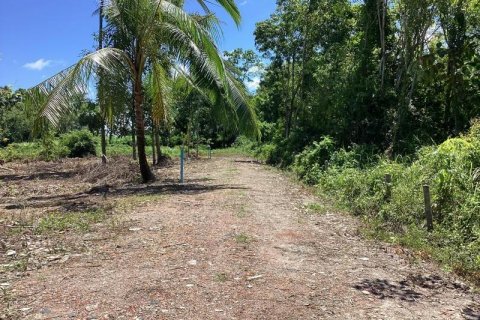 Land in Khok Kloi, Thailand № 124960 - photo 6