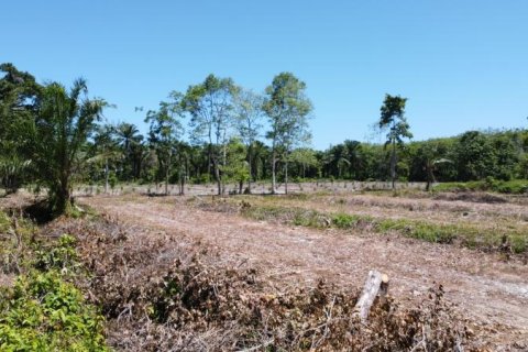 Land in Khok Kloi, Thailand № 124960 - photo 3