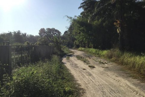 Terrain à Khok Kloi, Thaïlande № 124971 - photo 5