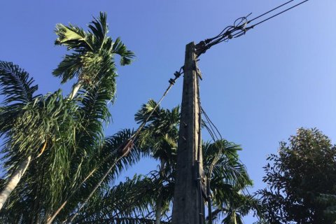 Terrain à Khok Kloi, Thaïlande № 124971 - photo 2