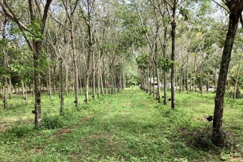 Земельный участок в Кхок Клое, Таиланд  № 124979 - фото 3