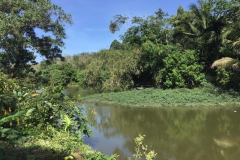 Terrain à Khok Kloi, Thaïlande № 124978 - photo 6