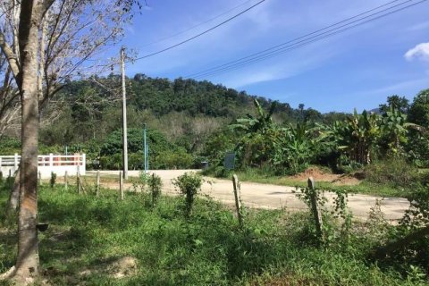 Terrain à Khok Kloi, Thaïlande № 124978 - photo 7