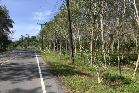 Terrain à Khok Kloi, Thaïlande № 124978 - photo 9