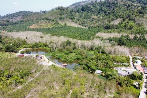 Terrain à Khok Kloi, Thaïlande № 124978 - photo 3
