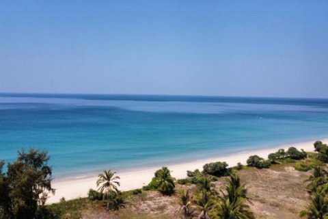 Terrain à Khok Kloi, Thaïlande № 125031 - photo 1