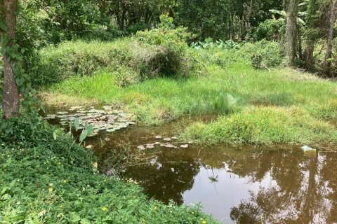 Terrain à Khok Kloi, Thaïlande № 124966 - photo 5