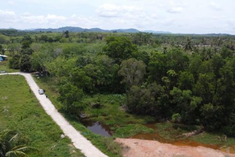 Terrain à Khok Kloi, Thaïlande № 124966 - photo 2