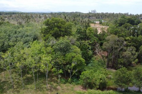 Terrain à Khok Kloi, Thaïlande № 124966 - photo 3