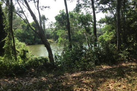 Земельный участок в Кхок Клое, Таиланд  № 124983 - фото 5