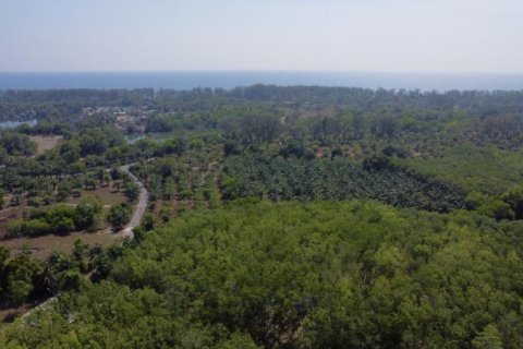 Земельный участок в Кхок Клое, Таиланд  № 124983 - фото 3