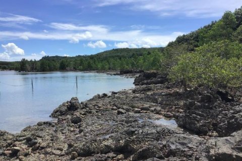 Земельный участок в Кхок Клое, Таиланд  № 124992 - фото 12