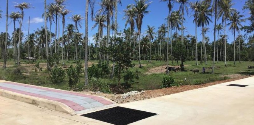 Terrain à Khok Kloi, Thaïlande № 124993