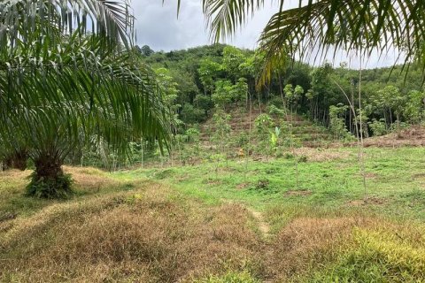 Земельный участок в Кхок Клое, Таиланд  № 124961 - фото 4