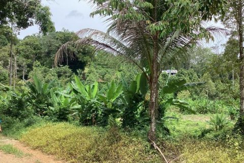 Земельный участок в Кхок Клое, Таиланд  № 124961 - фото 6