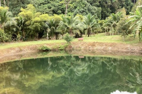 Коммерческая недвижимость в Кхок Клое, Таиланд  № 124922 - фото 6