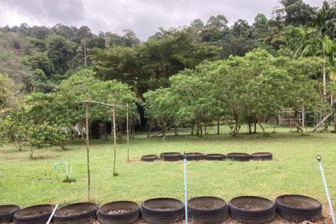 Коммерческая недвижимость в Кхок Клое, Таиланд  № 124922 - фото 8