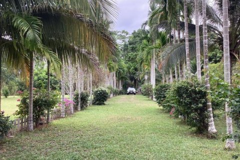 Коммерческая недвижимость в Кхок Клое, Таиланд  № 124922 - фото 7