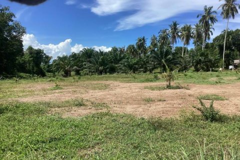 Terrain à Khok Kloi, Thaïlande № 124973 - photo 6