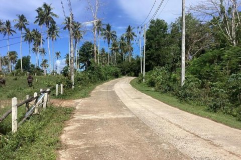 Terrain à Khok Kloi, Thaïlande № 124973 - photo 7